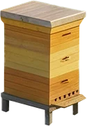 Bees