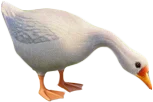 Goose