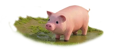 Pig